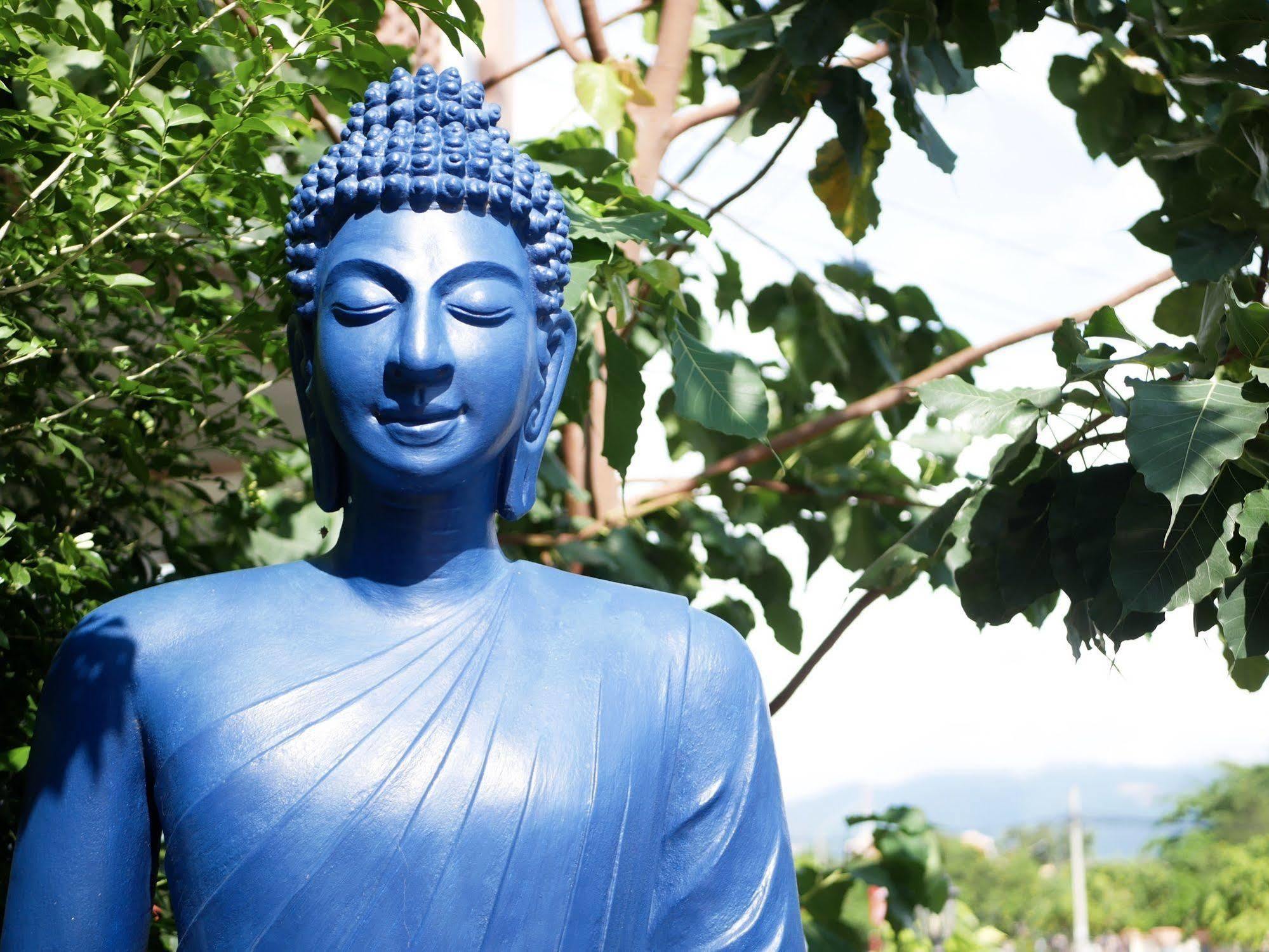 Blue Buddha Hotel Kampot Exterior photo